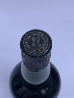 2022.006.0088_3.jpg